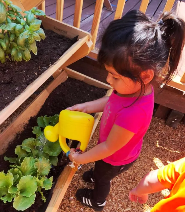 Affordable daycare childcare Novato