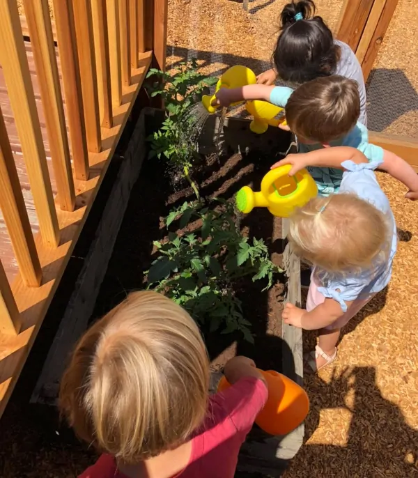 So don't worry, your children 6 months up to 3 years old will have a healthy daily nutrition, to carry on through a full day of activities, learning AND Gardening!
