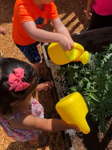 Affordable family daycare in Novato Affordable family daycare in Novato