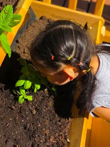 Affordable family daycare in Novato Affordable family daycare in Novato