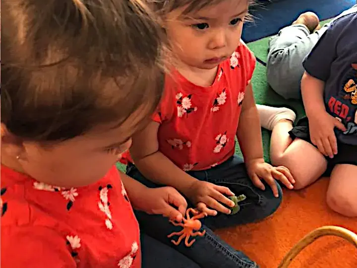 Infants Daycare Services Novato, Marin Infants Daycare Services Novato, Marin